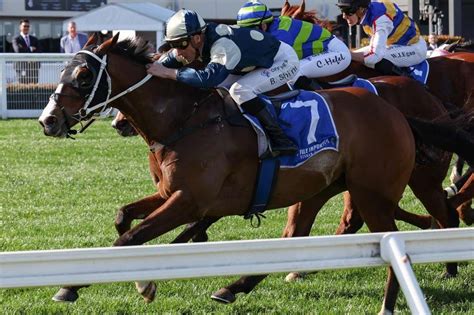 sydney cup order of entry.